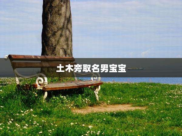 土木旁取名男宝宝