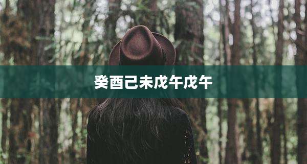 癸酉己未戊午戊午