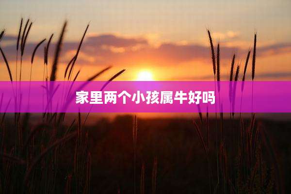 家里两个小孩属牛好吗