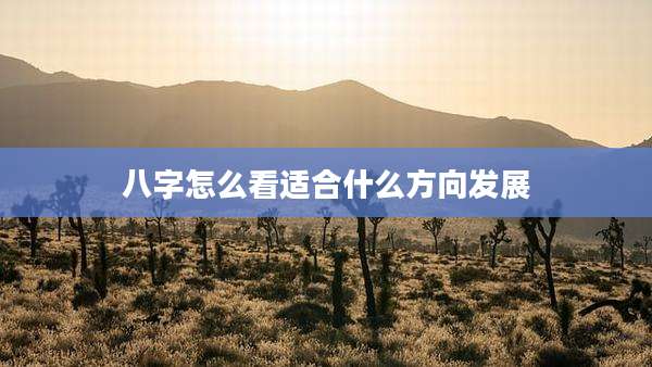 八字怎么看适合什么方向发展