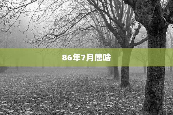 86年7月属啥