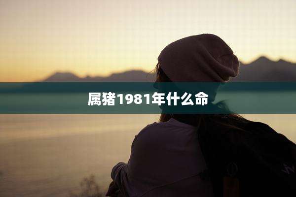 属猪1981年什么命