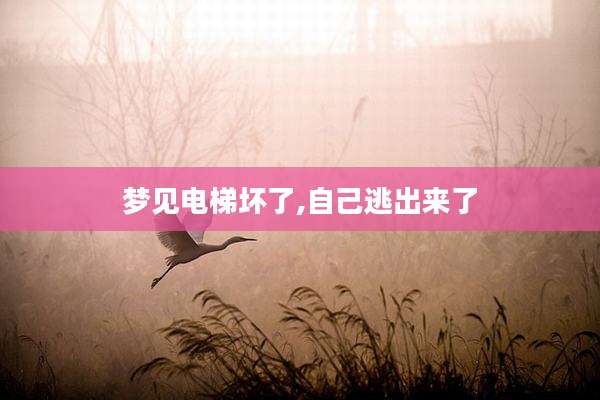 梦见电梯坏了,自己逃出来了