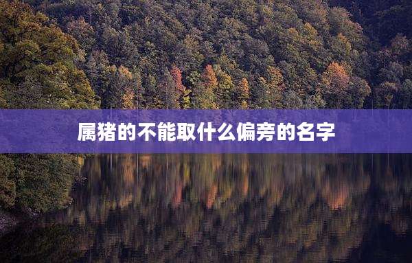 属猪的不能取什么偏旁的名字