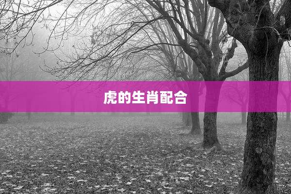 虎的生肖配合