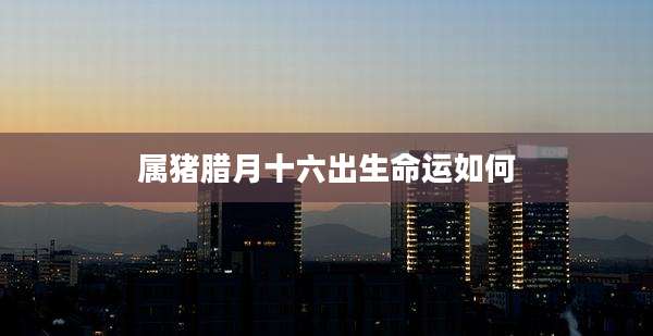属猪腊月十六出生命运如何