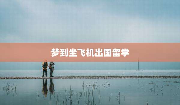 梦到坐飞机出国留学