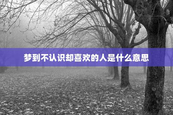 梦到不认识却喜欢的人是什么意思