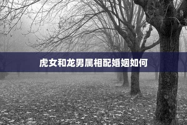 虎女和龙男属相配婚姻如何