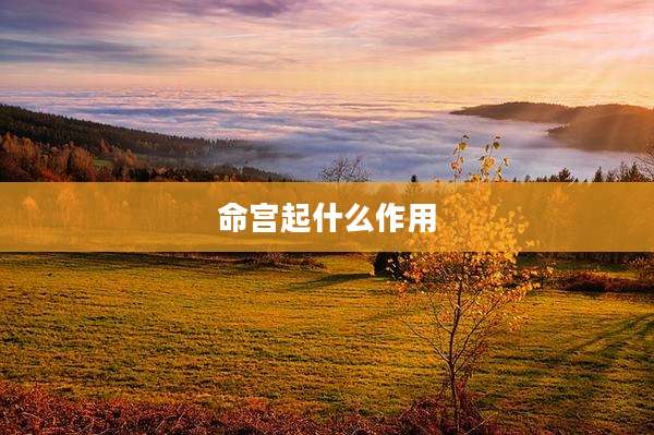 命宫起什么作用