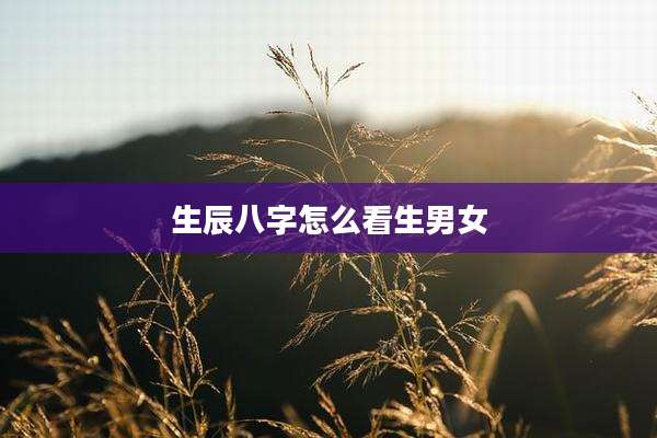 生辰八字怎么看生男女