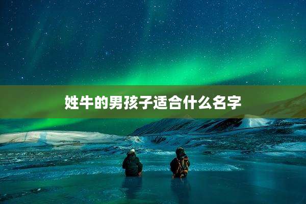姓牛的男孩子适合什么名字