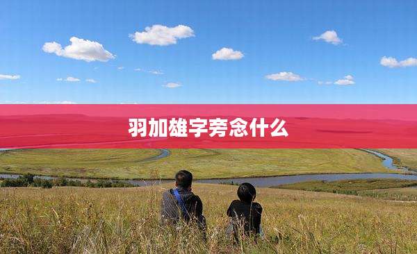 羽加雄字旁念什么
