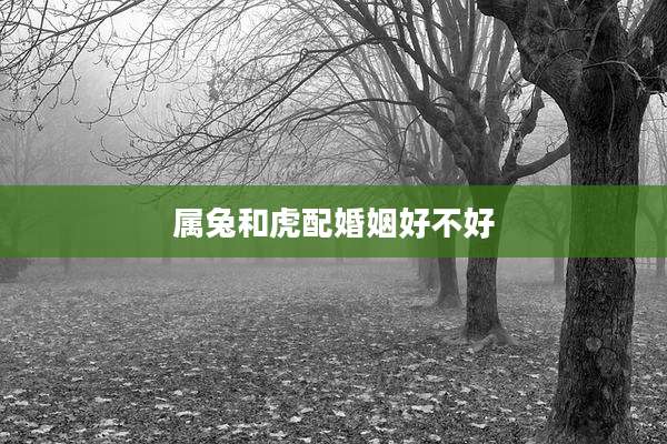 属兔和虎配婚姻好不好