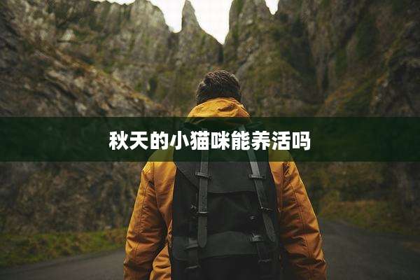 秋天的小猫咪能养活吗
