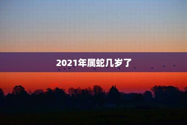 2021年属蛇几岁了