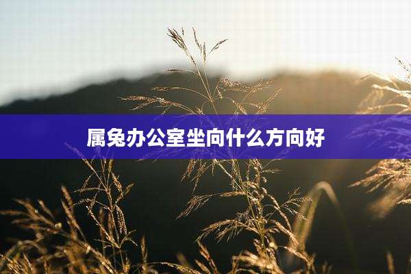 属兔办公室坐向什么方向好