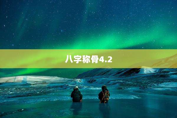 八字称骨4.2