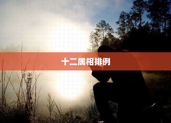 十二属相排例