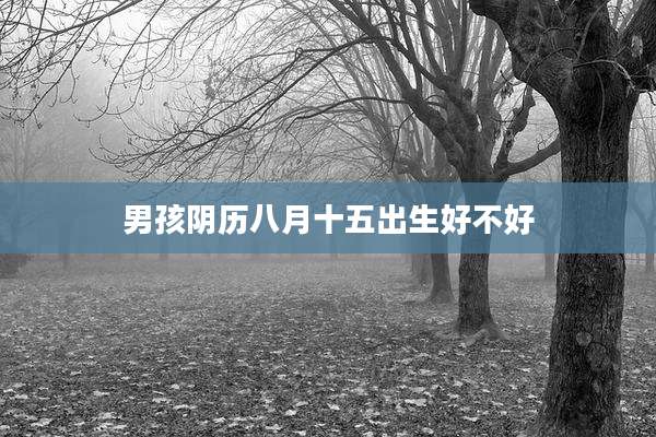 男孩阴历八月十五出生好不好