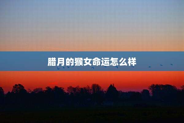 腊月的猴女命运怎么样