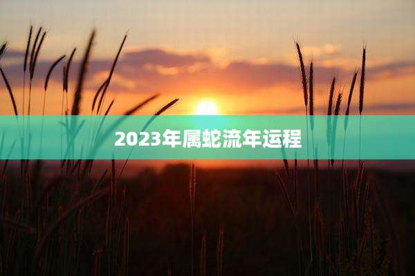 2023年属蛇流年运程