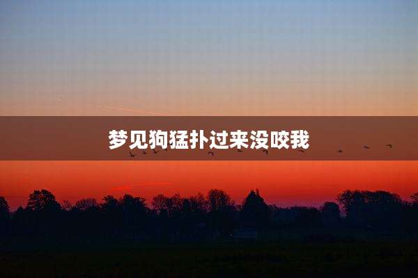 梦见狗猛扑过来没咬我
