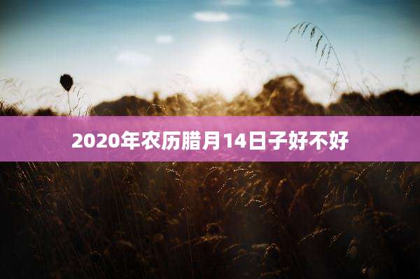 2020年农历腊月14日子好不好