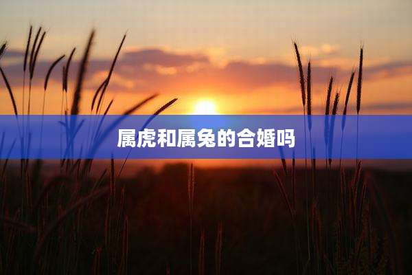 属虎和属兔的合婚吗