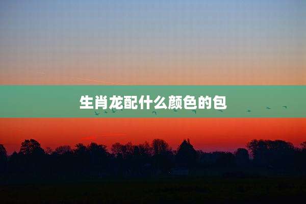 生肖龙配什么颜色的包