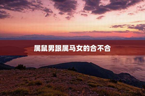 属鼠男跟属马女的合不合