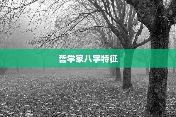 哲学家八字特征
