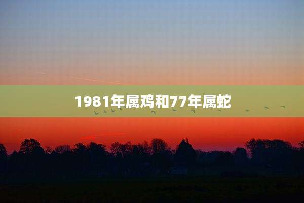 1981年属鸡和77年属蛇