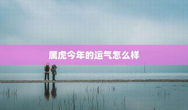 属虎今年的运气怎么样