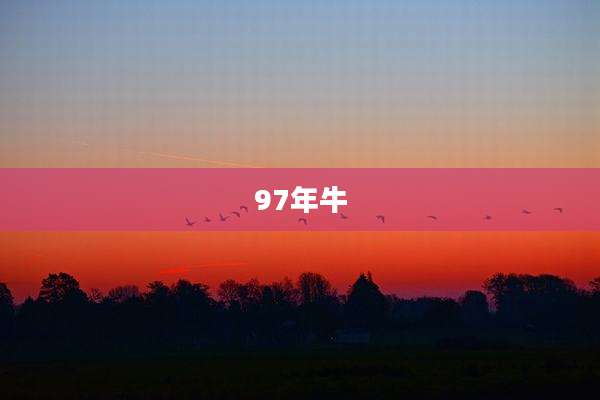 97年牛