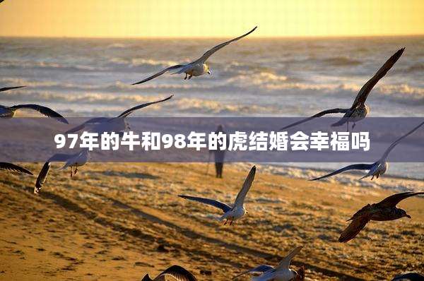 97年的牛和98年的虎结婚会幸福吗