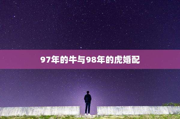 97年的牛与98年的虎婚配