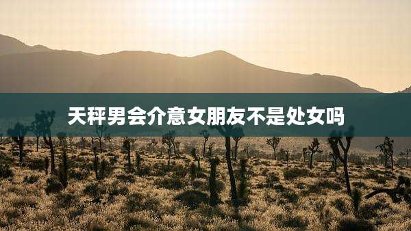 天秤男会介意女朋友不是处女吗