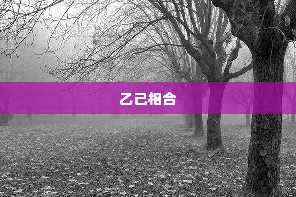 乙己相合