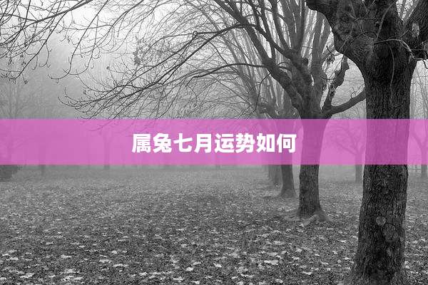 属兔七月运势如何