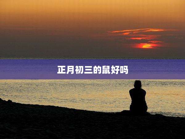 正月初三的鼠好吗