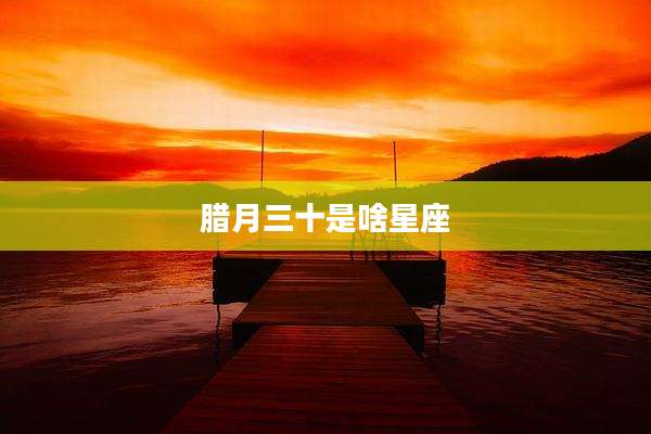 腊月三十是啥星座