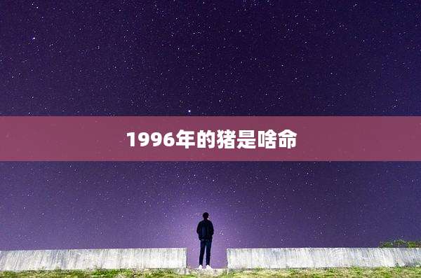 1996年的猪是啥命