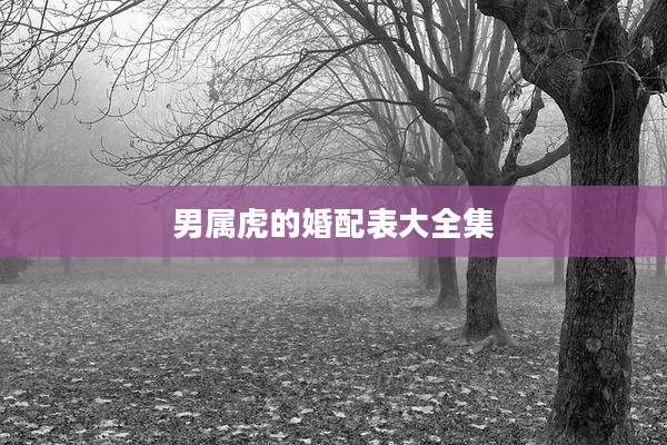 男属虎的婚配表大全集