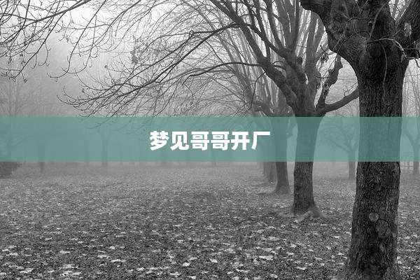 梦见哥哥开厂