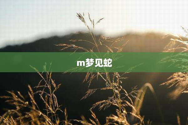 m梦见蛇