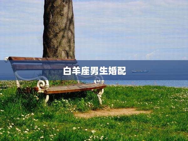 白羊座男生婚配