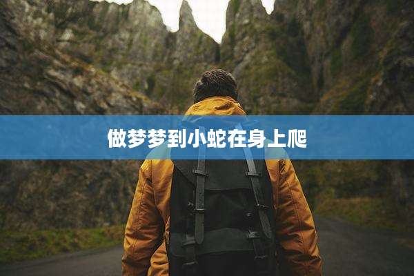 做梦梦到小蛇在身上爬