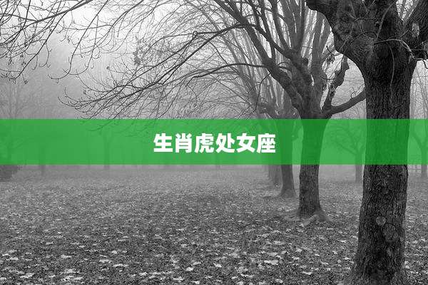 生肖虎处女座