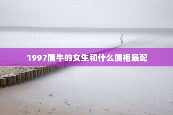 1997属牛的女生和什么属相最配